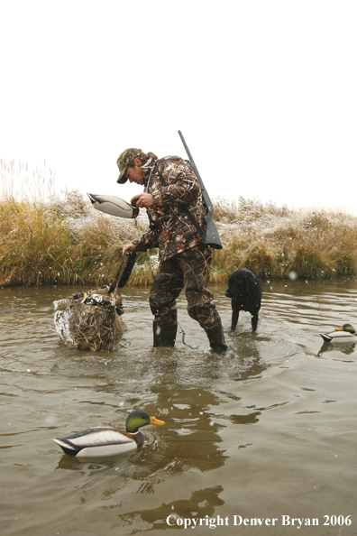 Duck hunter setting decoys in winter