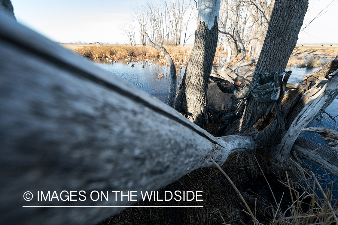 Waterfowl hunting