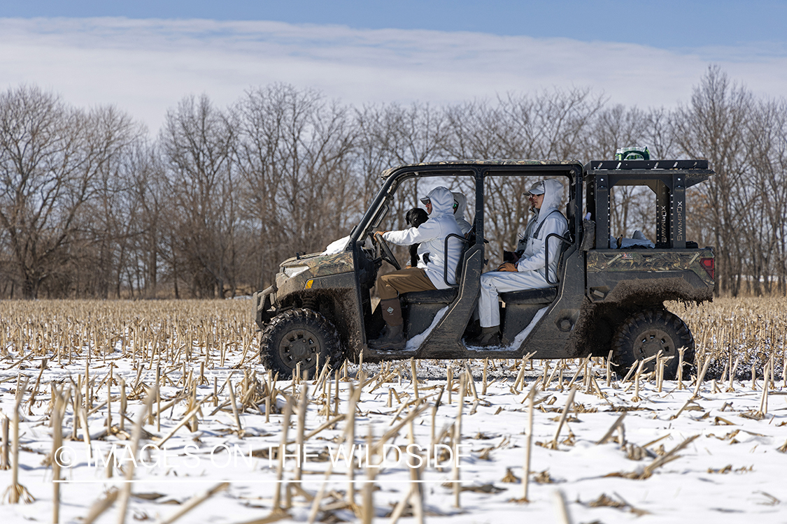 Waterfowl hunters in side by side.