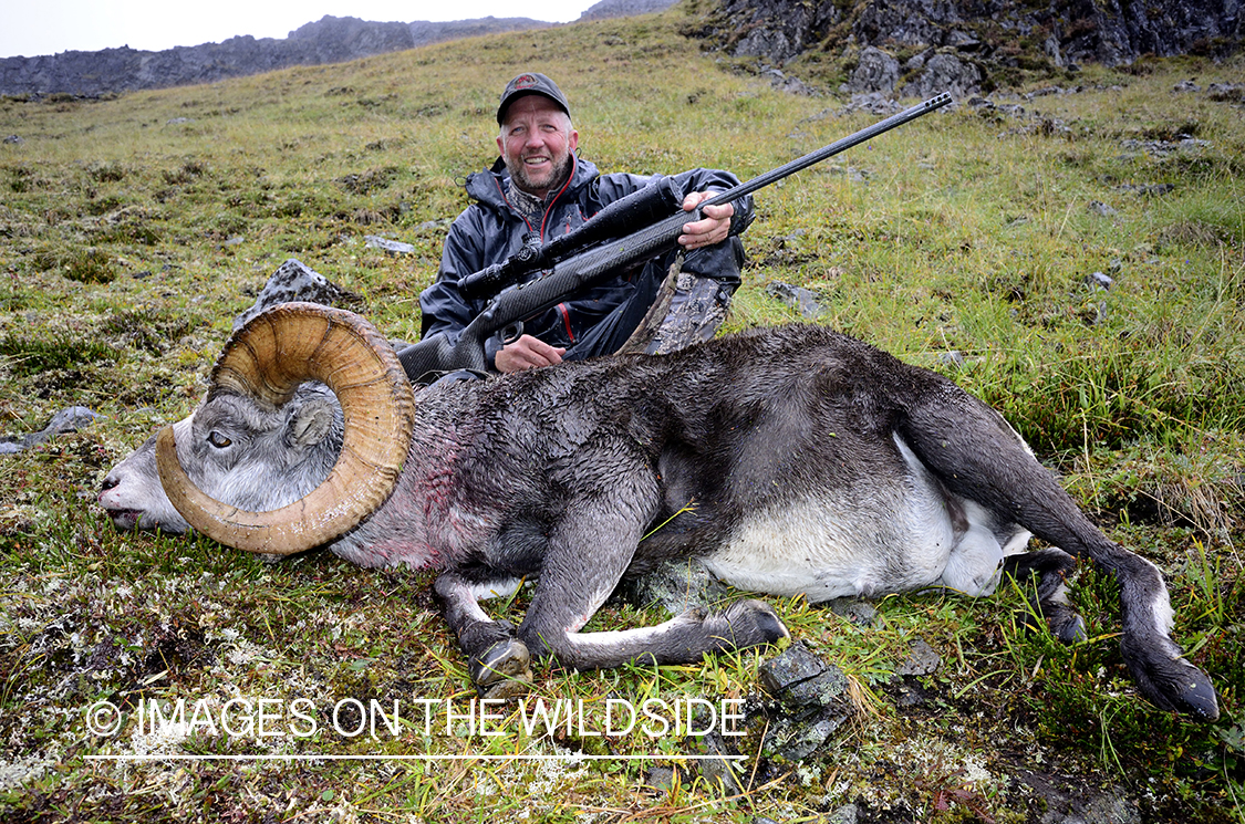 Stone sheep and Mountain goat hunting.