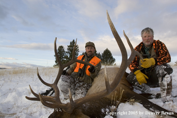 Elk hunters with downed elk. 