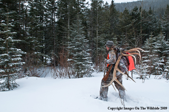 Hunter with elk rack