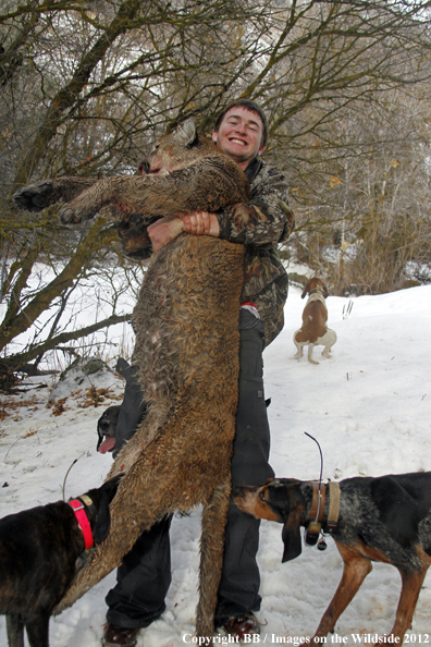 Hunter with dogs and bagged mountain lion. 