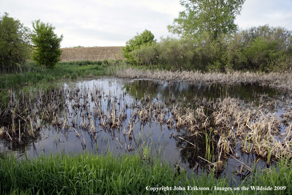 Wetlands on National Wildlife Refuge