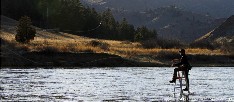 Flyfisherman casting from ladder in middle of river.