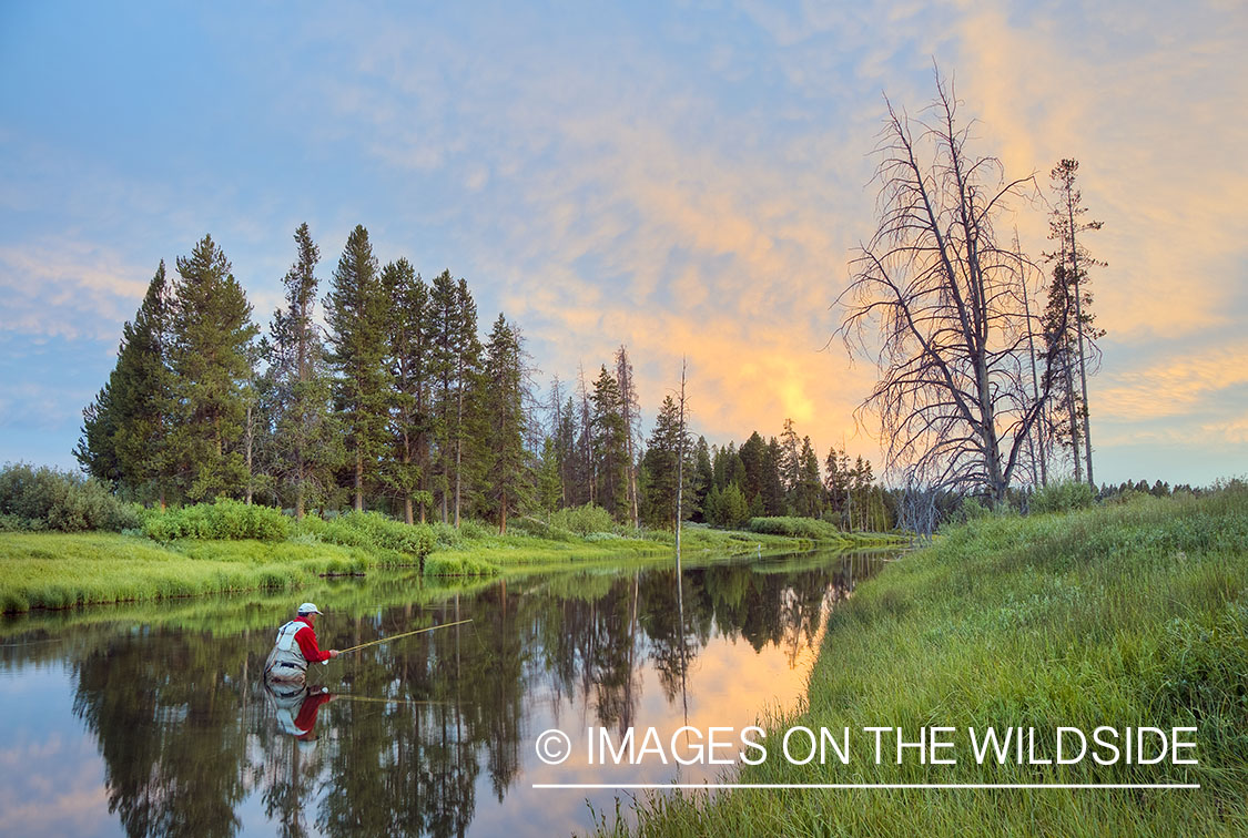 Flyfishing on Duck Creek, Montana.