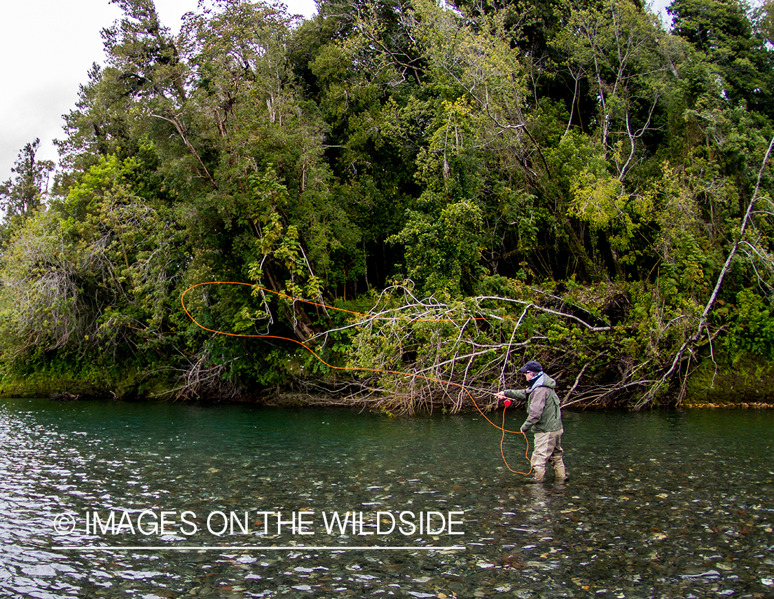 Flyfisherman casting line.