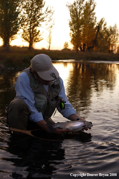 Flyfisherman with Rainbow Trout