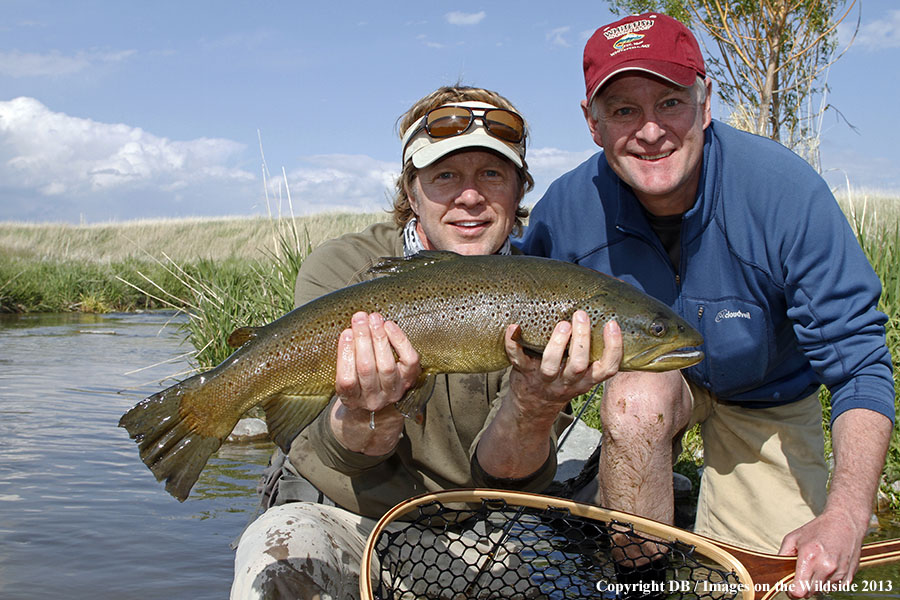 Flyfisher fighting jumping rainbow trout in spring creek.