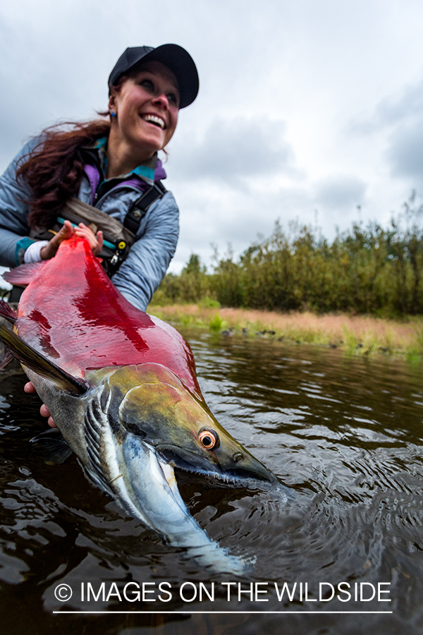 Flyfisher Camille Egdorf with Sockeye salmon. Nushagak river, Alaska.