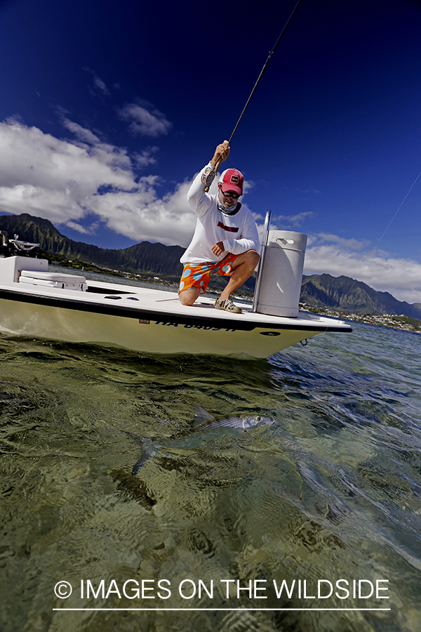 Saltwater flyfisherman fighting bonefish from flats boat, in Hawaii.