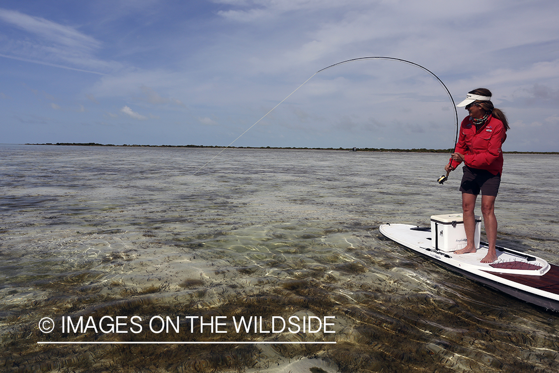 Saltwater flyfishing woman on paddle board fighting bonefish.