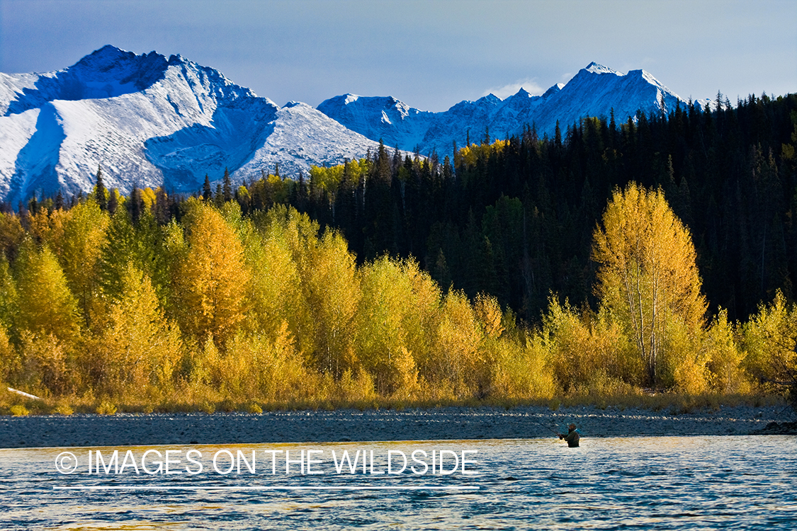 Flyfisherman on river. 