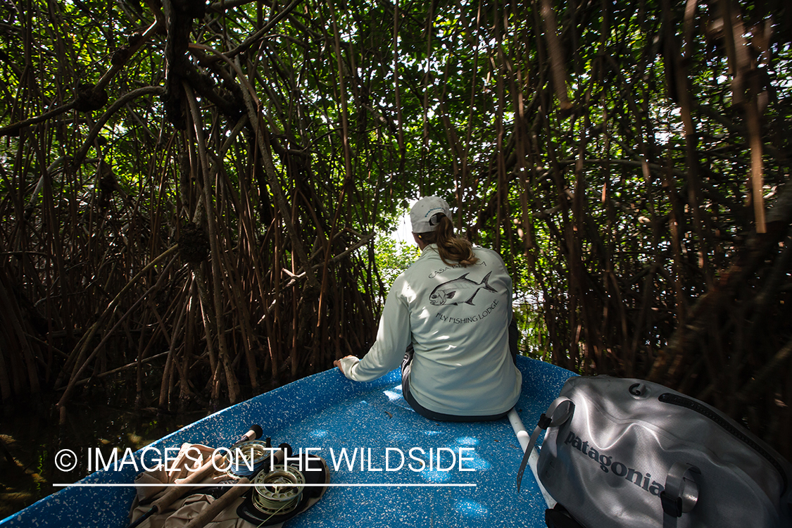 Flyfishing woman in boat working through mangroves.