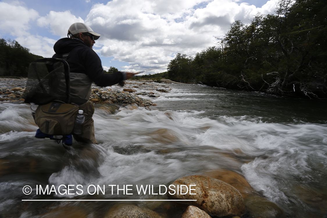 Flyfisherman fighting with trout.