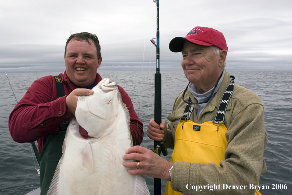 Fishermen with halibut catch.  (Alaska/Canada)