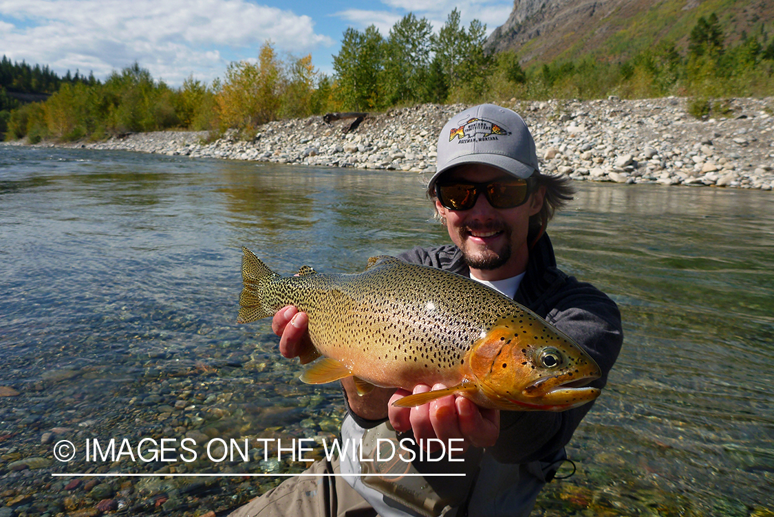 Flyfisherman with brown trout.