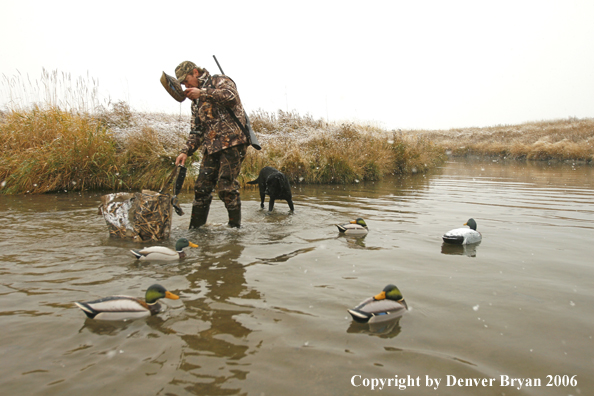 Duck hunting in winter