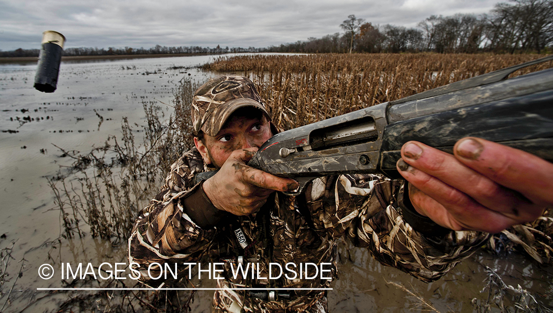 Waterfowl hunter shooting at waterfowl in wetlands.