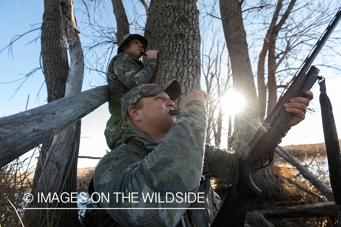 Waterfowl hunting