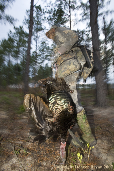 Turkey hunter in field with bagged bird