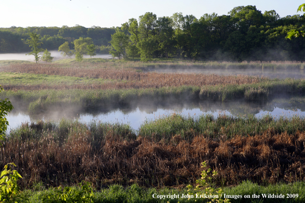 Steam off of Wetlands on National Wildlife Refuge