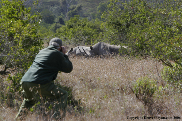 Wildlife Biologist in field with black rhino