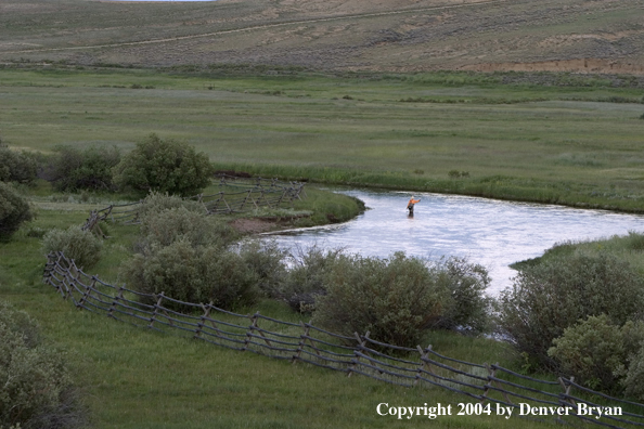 Flyfisherman fishing river.