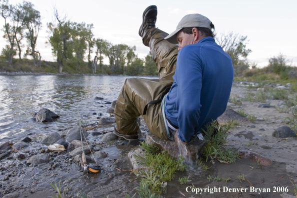 Flyfisherman on the river with waders full of water.  