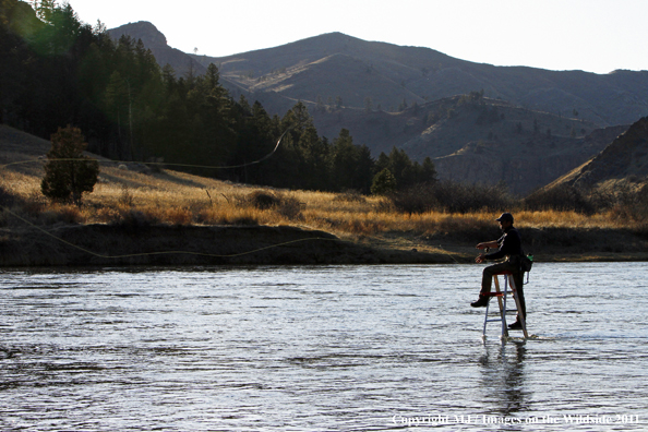 Flyfisherman casting from ladder in middle of river.