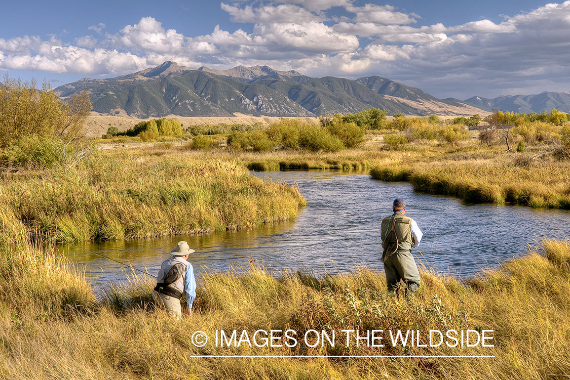 Flyfishing on O'dell Creek, Montana.