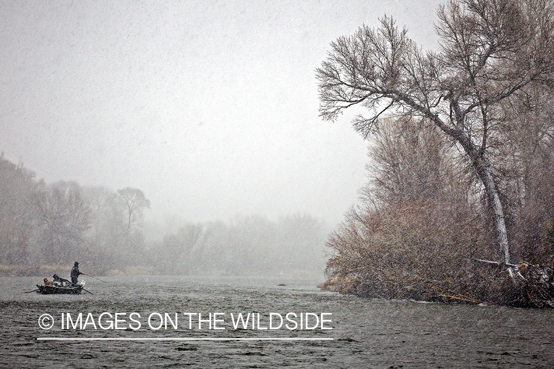 Flyfishermen fishing on river in the snow.