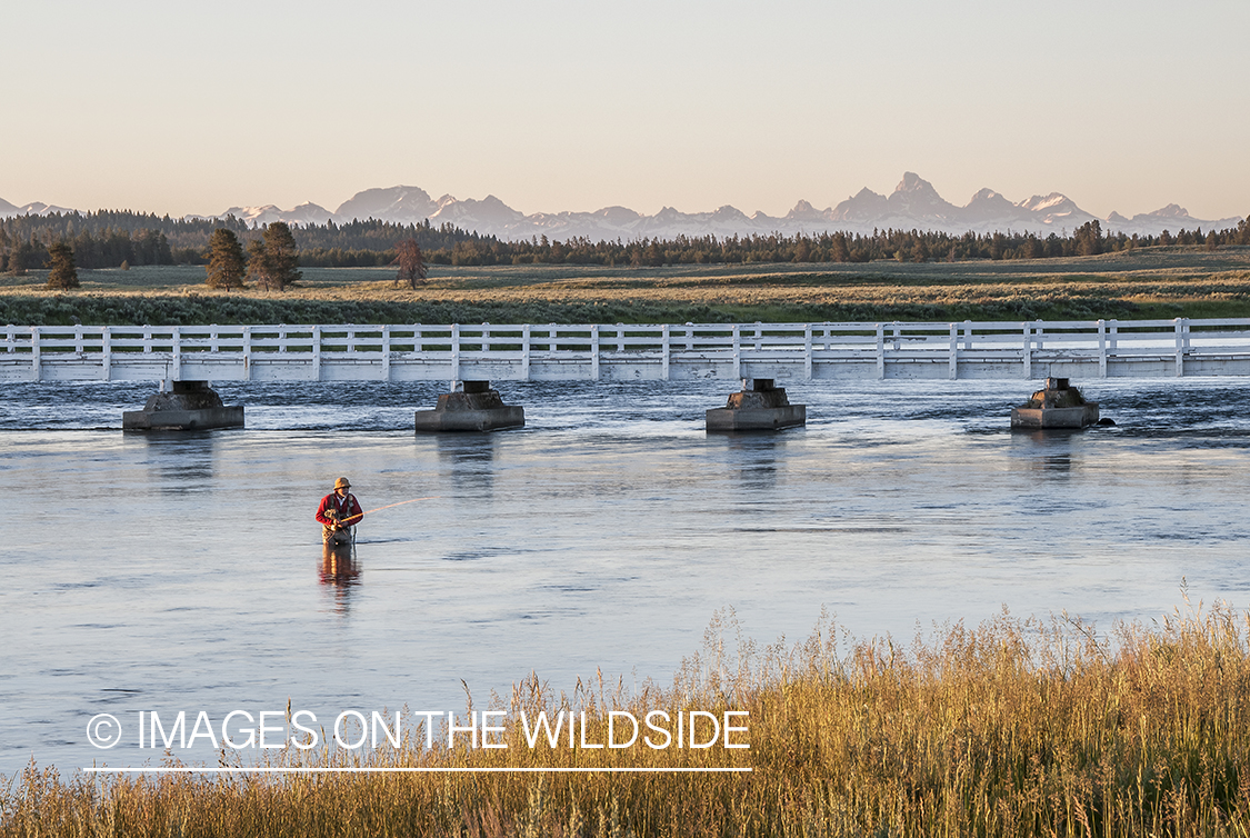 Flyfishing on Henry's Fork, Idaho.