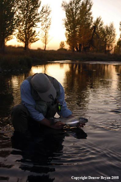 Flyfisherman with Rainbow Trout