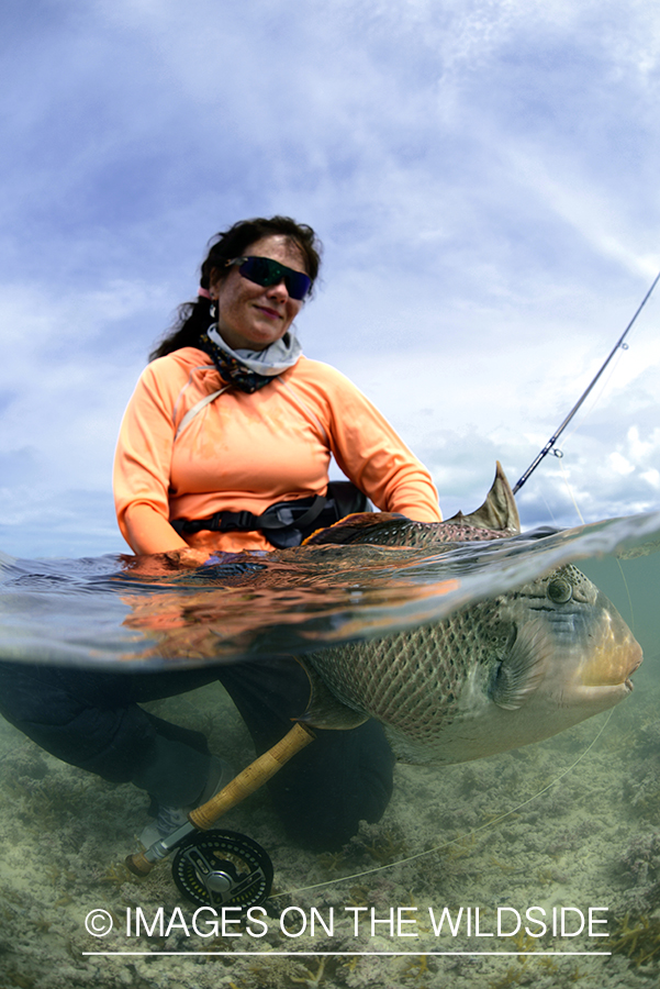 Flyfisherman with peachy triggerfish.