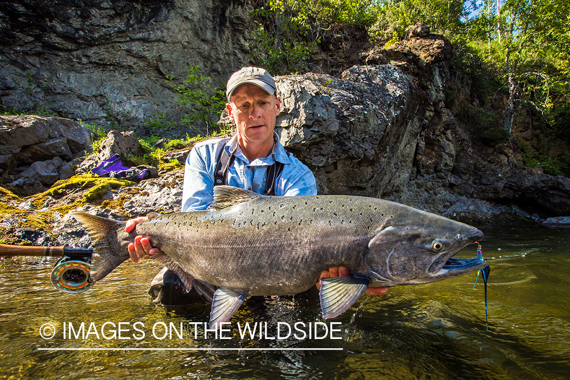 Flyfisherman with king salmon on Nakina River, British Columbia.