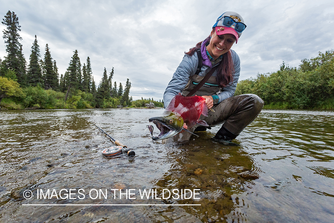 Flyfisher Camille Egdorf with Sockeye salmon. Nushagak river, Alaska.