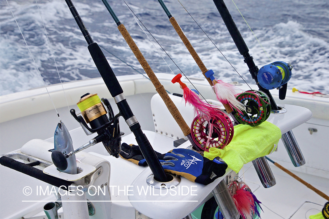 Fly rods on deep sea boat.