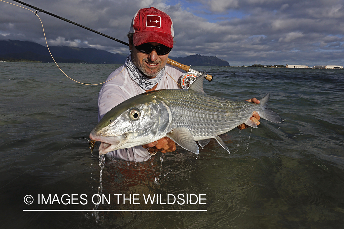 Saltwater flyfisherman with 13 lb bonefish, in Hawaii.