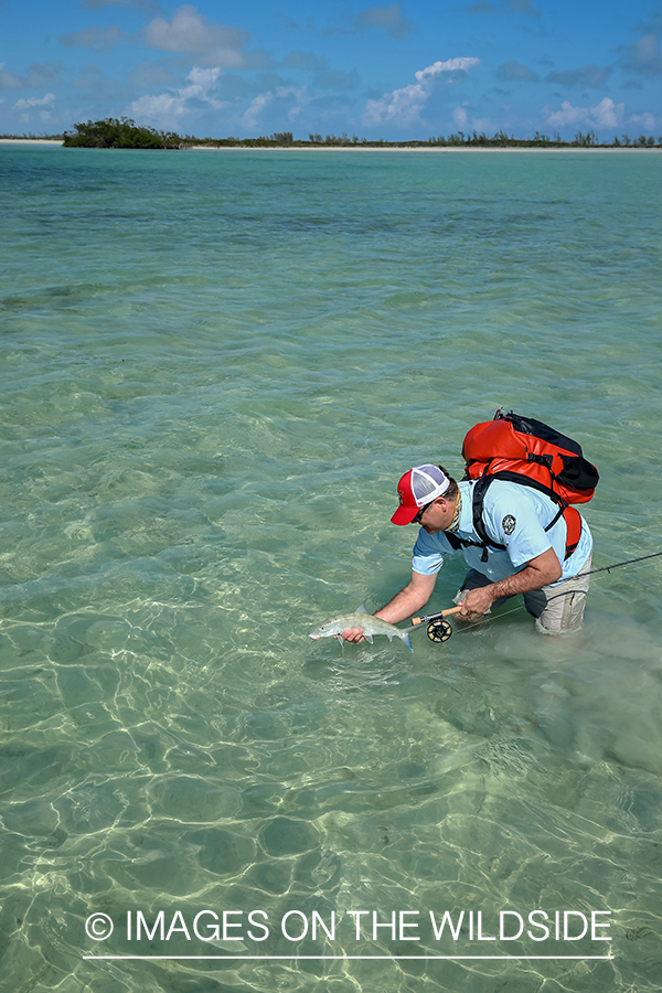 Flyfisherman releasing Bonefish.