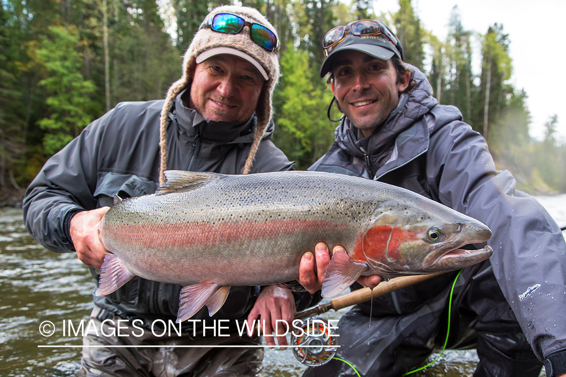 Steelhead fishing