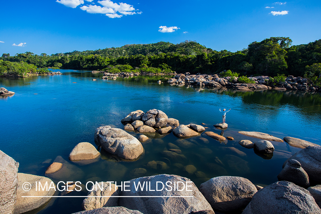 Flyfisherman casting fly on river in Kendjam region, Brazil.