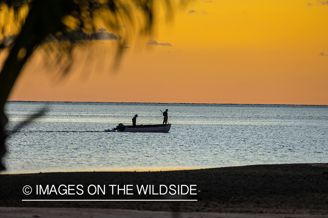 Flyfisherman on St. Brandon's Atoll flats, Indian Ocean at sunset.