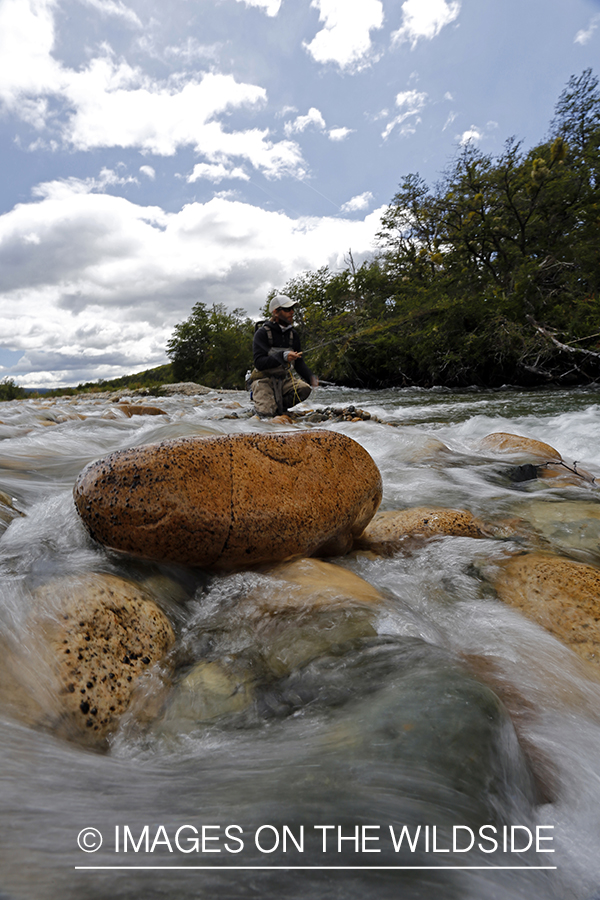 Flyfisherman fighting with trout.