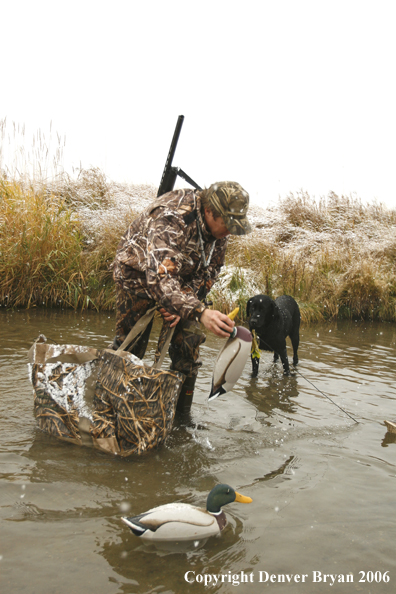 Duck hunting in winter