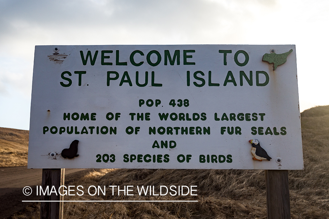 King Eider and Long-tailed duck hunting in Alaska, St. Paul Island sign.