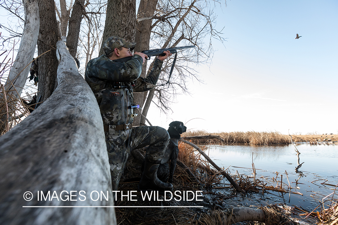 Waterfowl hunting