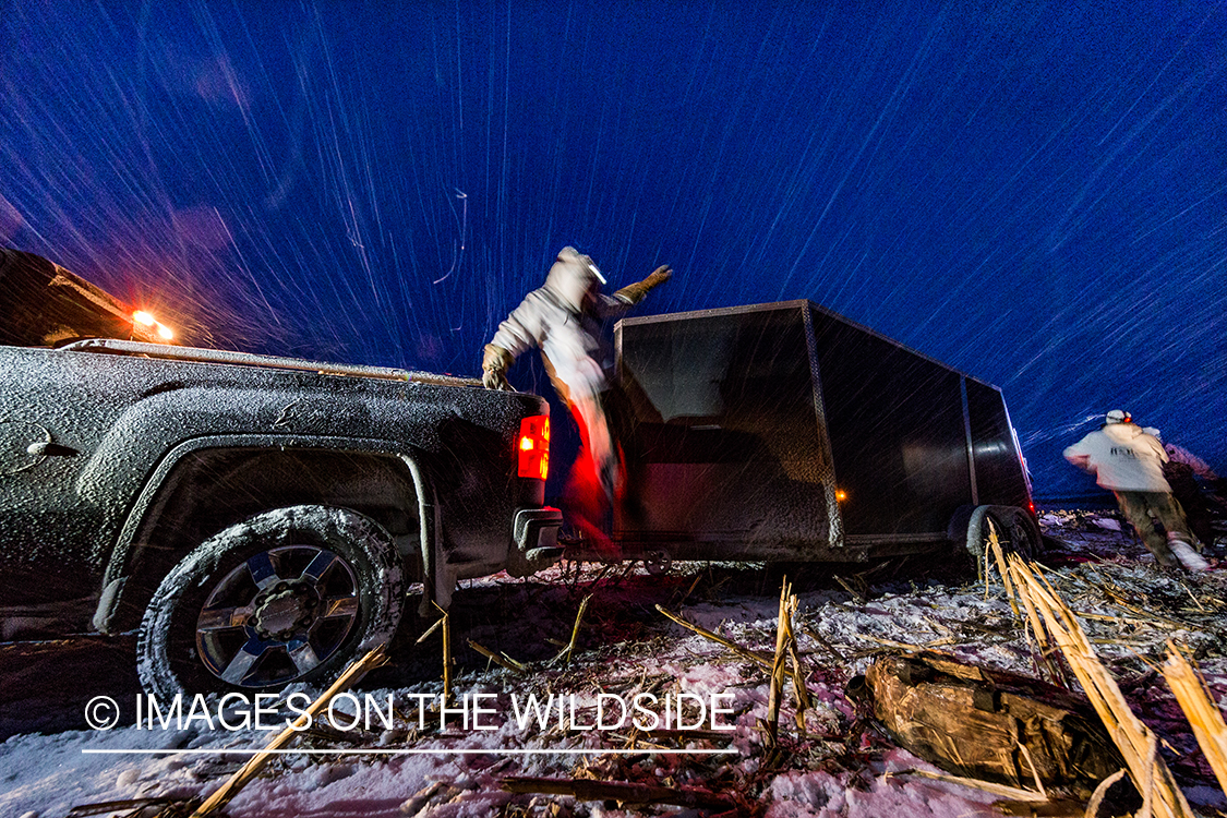 Setting up decoys at dawn. 