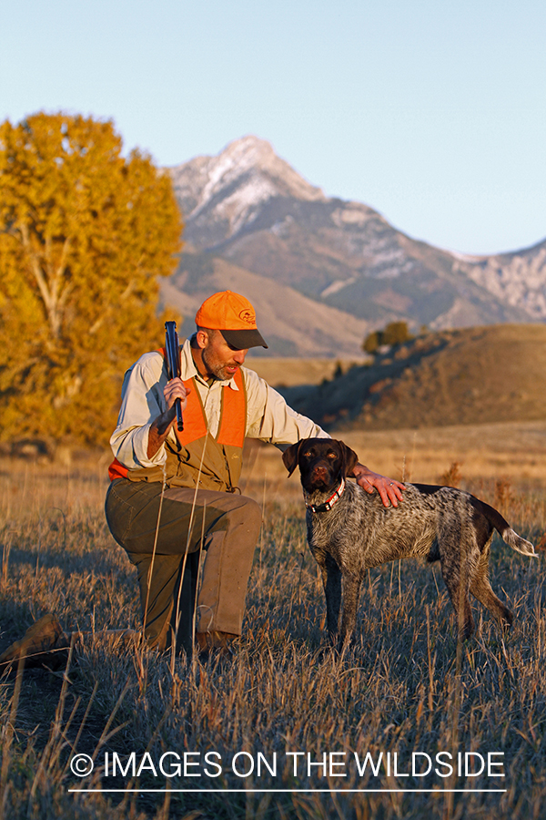 Upland game bird hunter in field with Griffon Pointer.