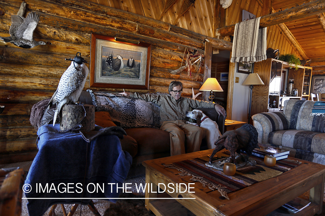 Falconer lounging in cabin with hooded gyr falcon.